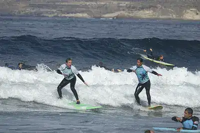 Surf Lessons Tenerife Ocean Life